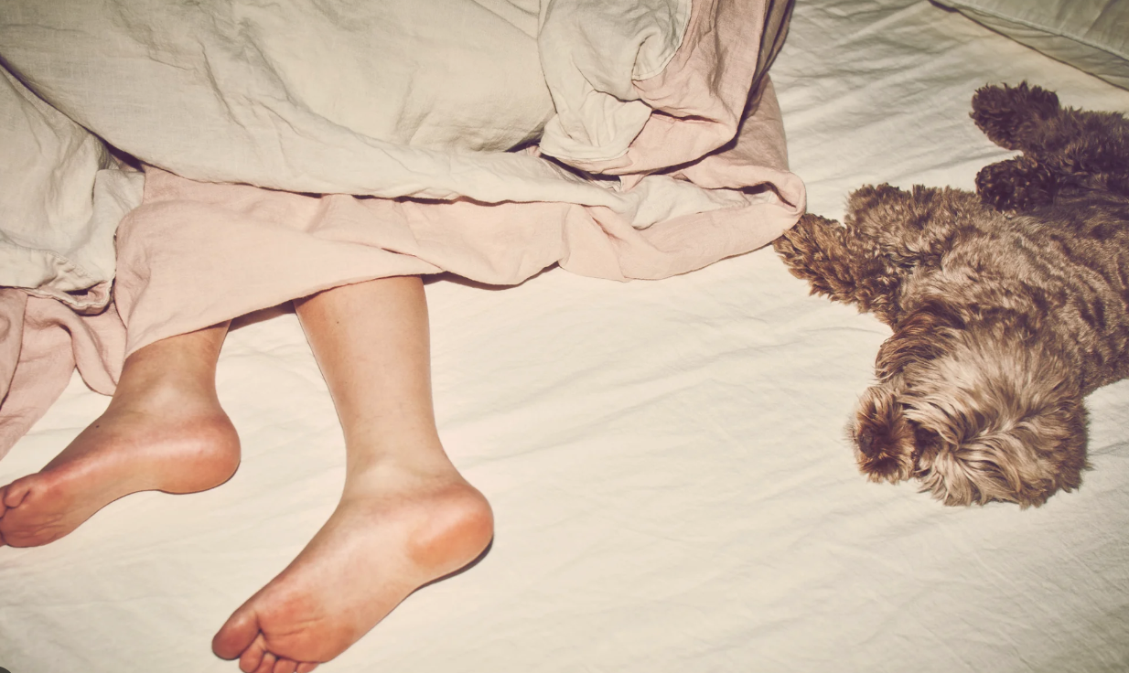 Guy Aroch