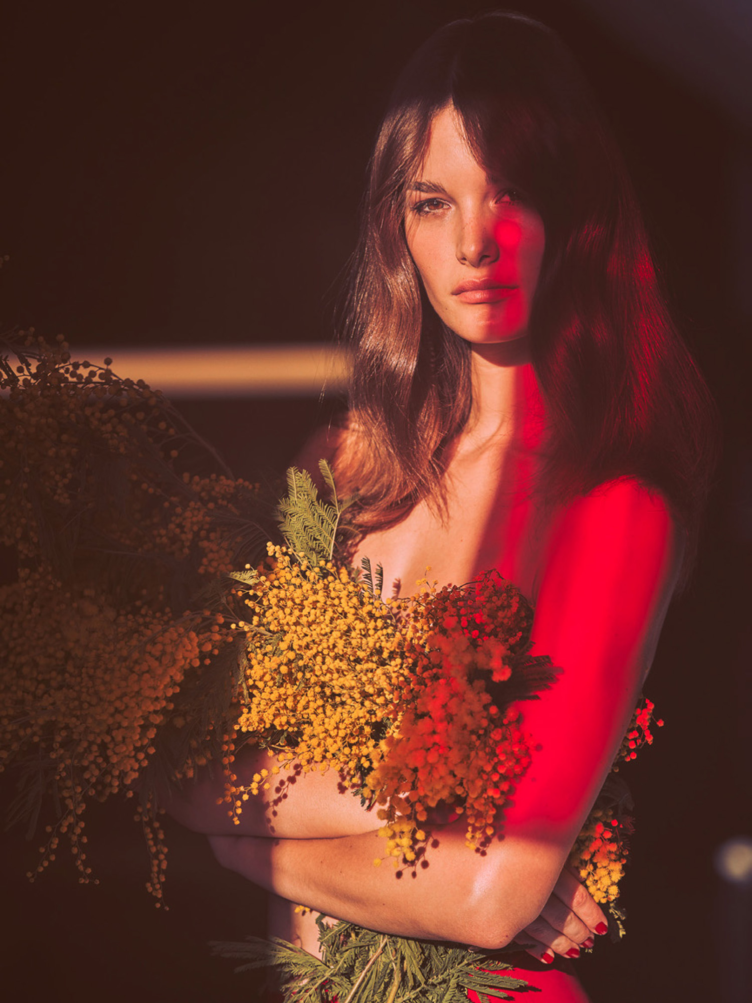 Guy Aroch