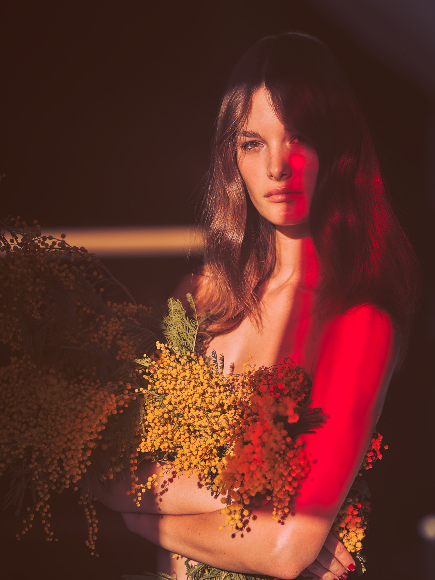 Guy Aroch