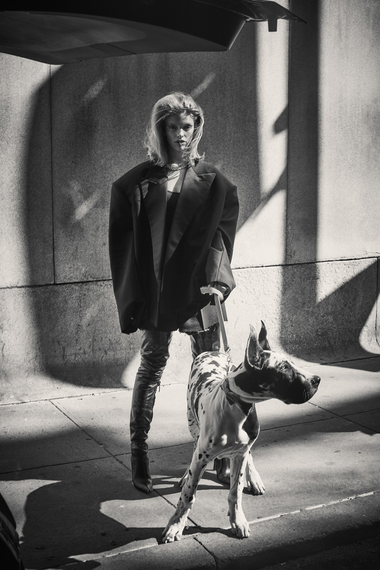 Guy Aroch